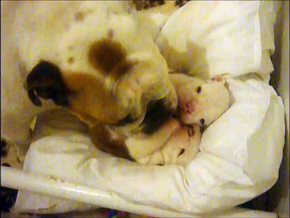 Avant d'aller dormir