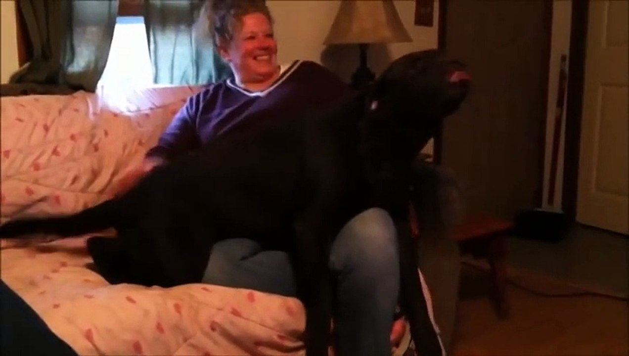 Dog would make a Great Stamp Licker