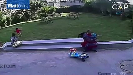 Alman köpeği çocuğa böyle saldırdı