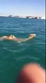 Un dromadaire nage dans la mer !
