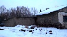 Doğu Anadolu Bölgesinde, Kar ve Soğuk Hava Etkili Oldu
