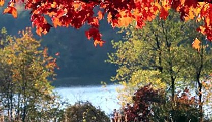 Plants Tell What Time It Is