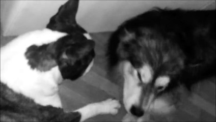 Réveil en "douceur" :')