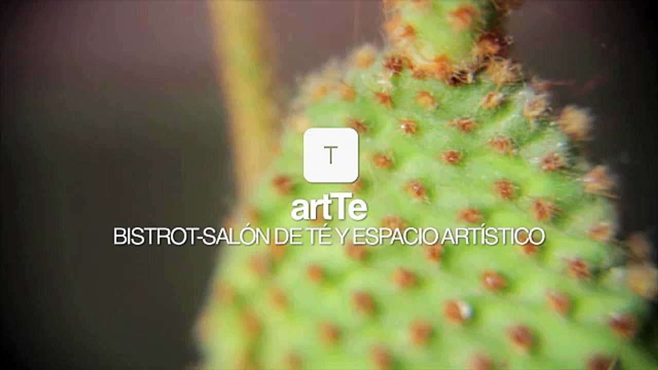 ArtTe: Salon de te y Espacio artistico