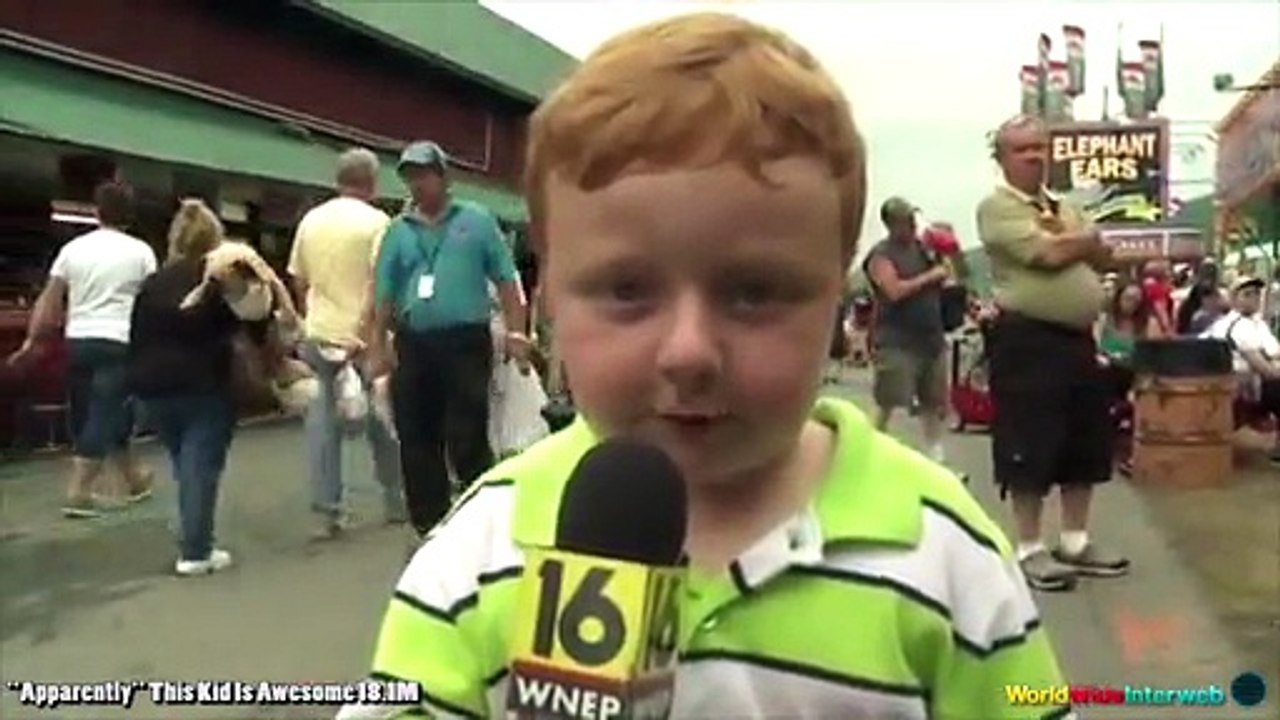 The 50 Best Viral Videos Of 2014