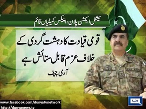 Apex Committees made to implement action plan against terrorism