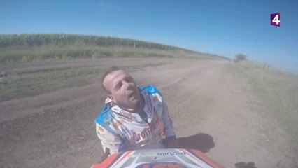 Le Saint-Bernard des motards