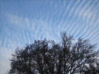 Chemtrails~Rumba en el Solar