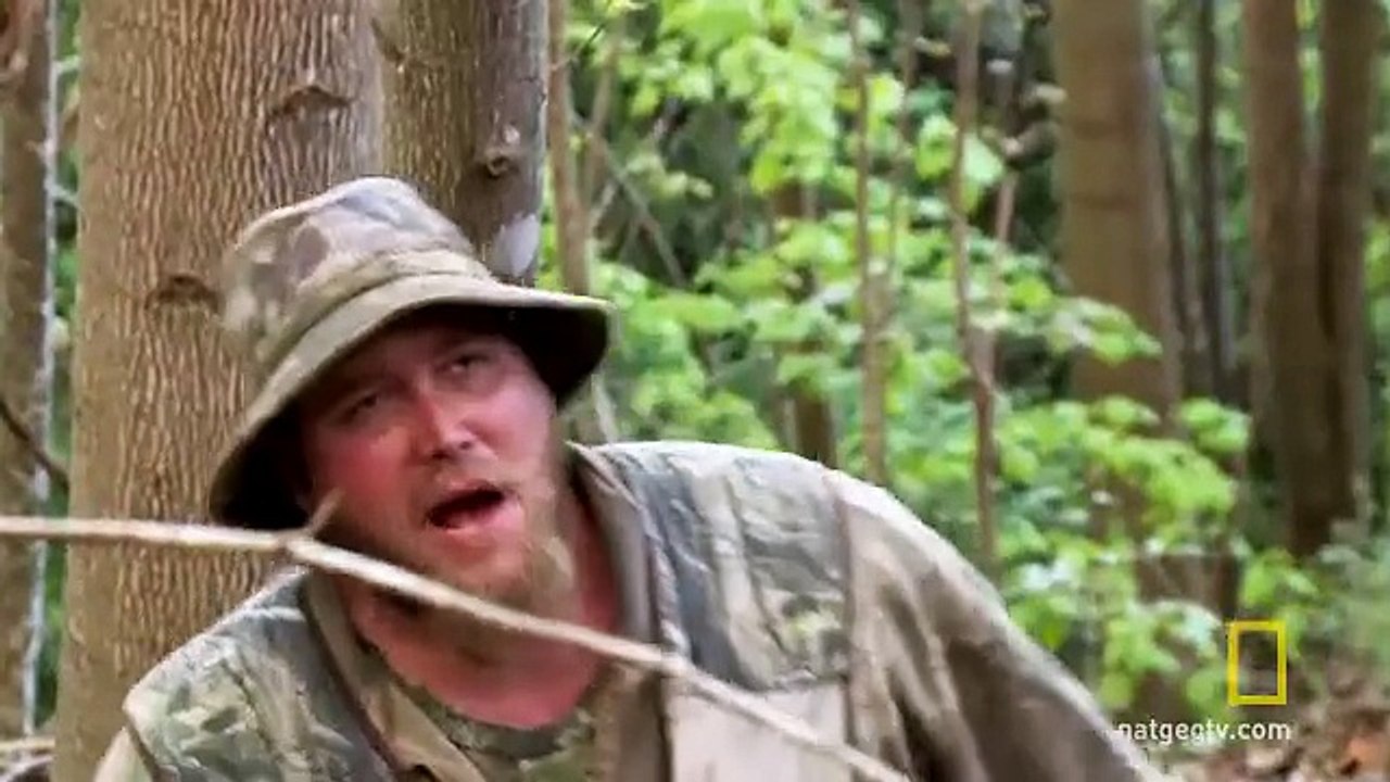 Standoff in the Woods
