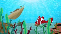 Kırmızı Balık - Çocuk Şarkısı - Edis ile Feris Çizgi Film Çocuk Şarkıları Videoları