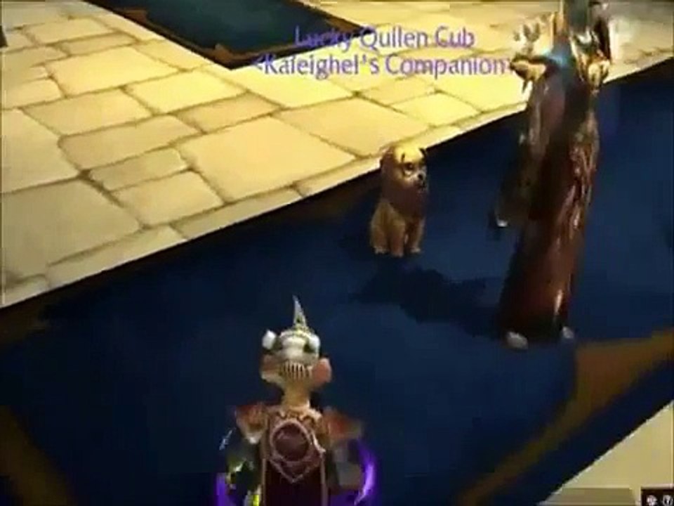 Zygor Guides free download   World of warcraft leveling guide