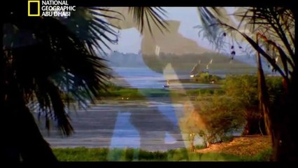 قصص قبور- سرقه الموتى