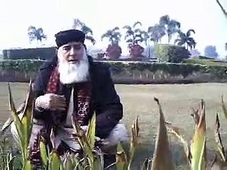 mola kesa tera nazam hai