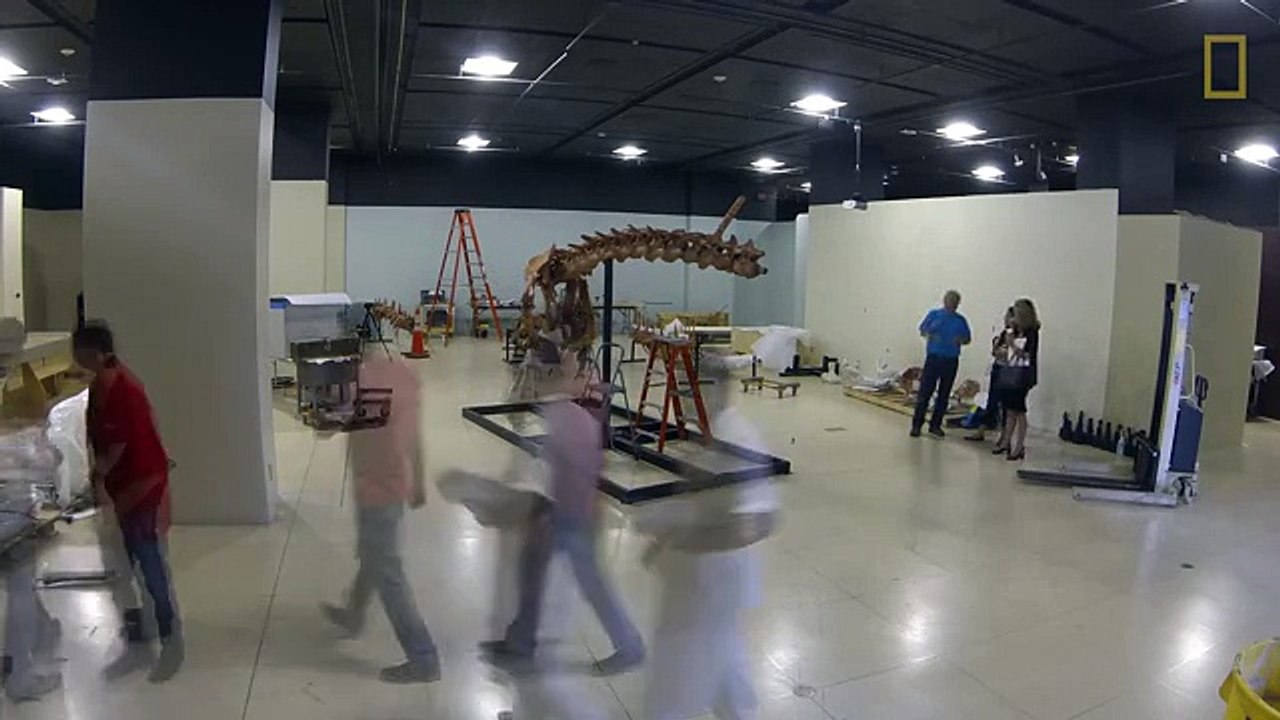 Spinosaurus Exhibit Time-Lapse