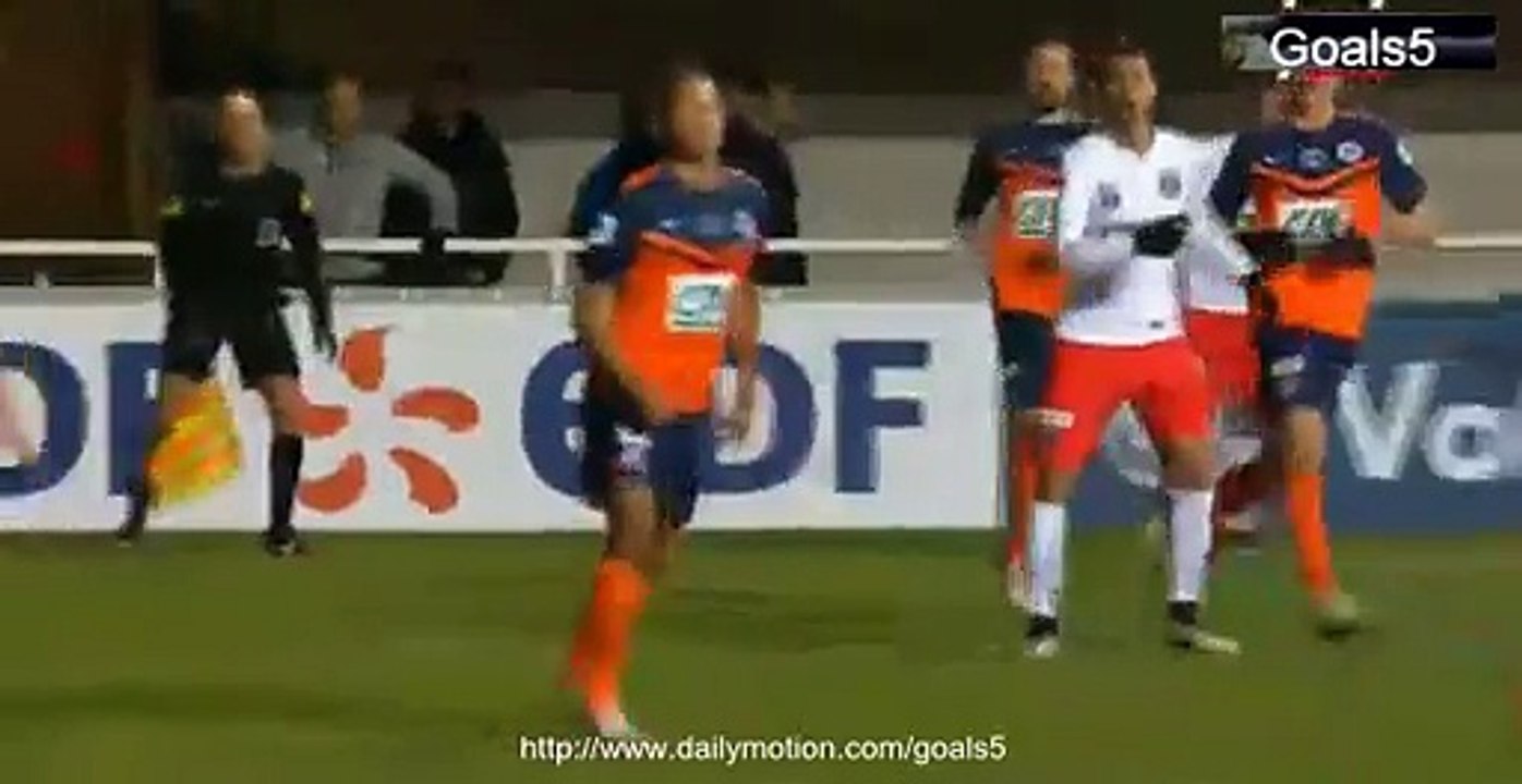Zlatan Ibrahimovic Goal Montpellier 0 - 2 PSG Coupe de France 5-1-2015