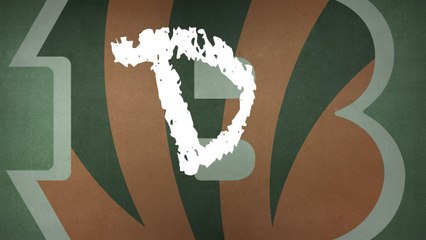 Wild Card Report Card: Bengals