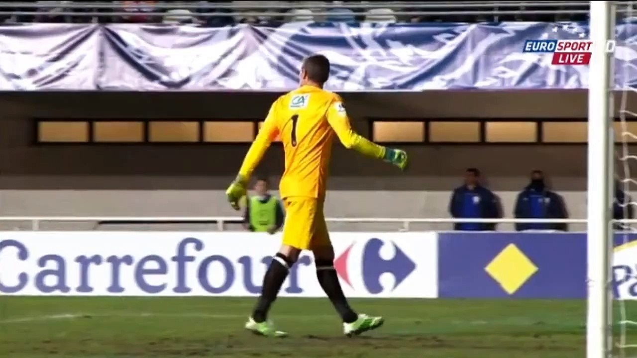 Zlatan Ibrahimović Goal - Montpellier vs PSG ( Coupe de France ) 2015 HD