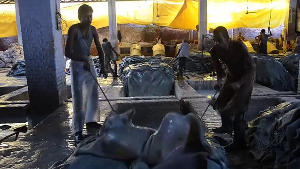 The Ganges From Snow to Sea