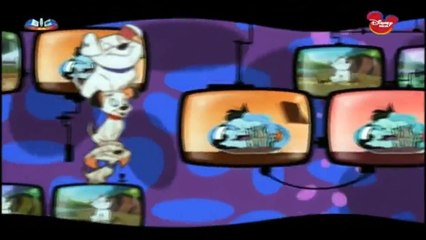 101 Dálmatas Série 2 Episódio 13