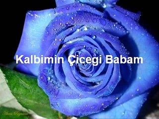 Sedat Uçan - Kalbimin Çiçeği Babam