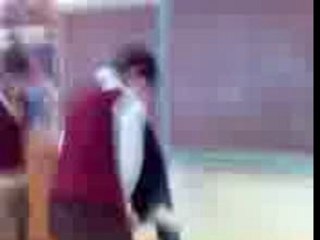 полёт Феникса