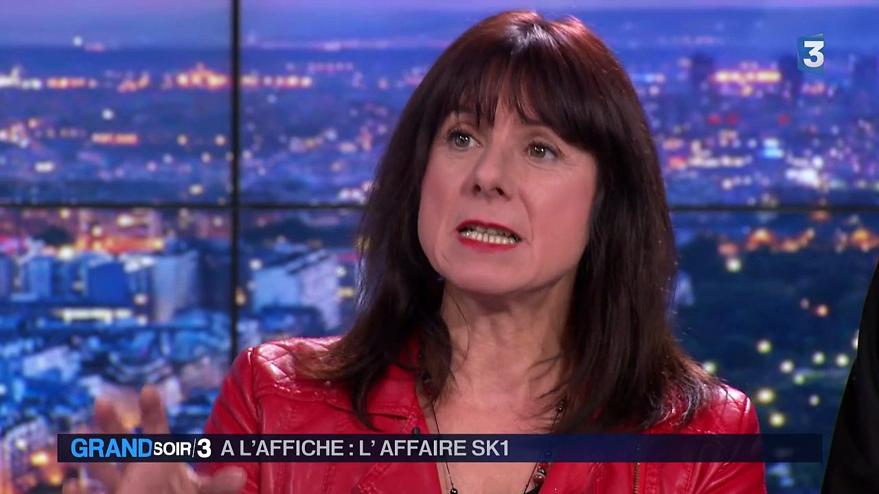Cinéma : "L'affaire SK1" raconte la traque de Guy Georges