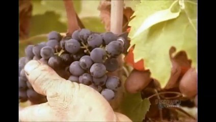 How Its Made - 062 Wine