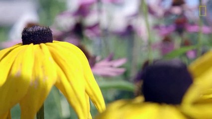 The U.S. Town With No Cell Phones or Wi-Fi