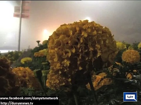 Dunya news- Fog engulfs areas of Punjab, disrupts routine life