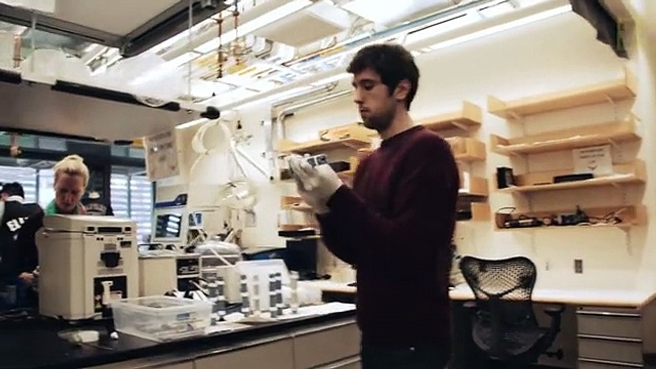 Tiny, Robotic Bees Could Change the World