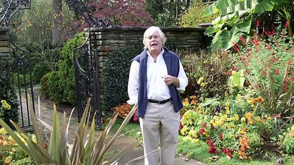 Traveling Go Where the Locals Go