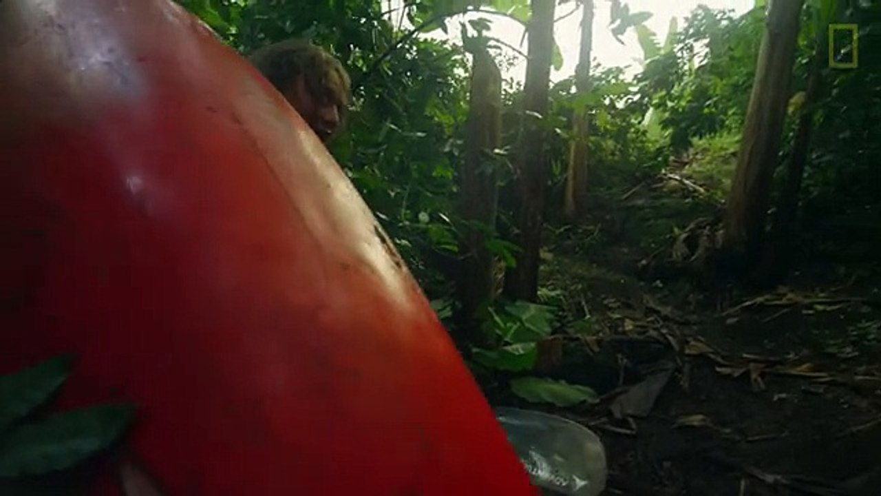 Zero to Sixty In Search of the Perfect Run
