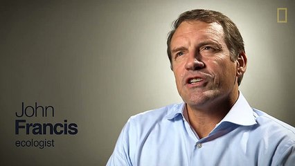 Discover Why Exploring Animal Habitats Matters 🌍