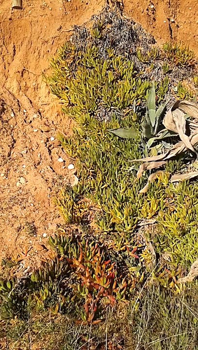 sur la plage ensoleillé
