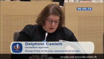 Séance Plénière : Intervention sur les fonds FEDER par Delphine Castelli