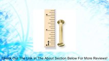 1-1/2 in. Antique Brass Aluminum Chicago Screws/Screw Posts (Qty 100 sets) Review
