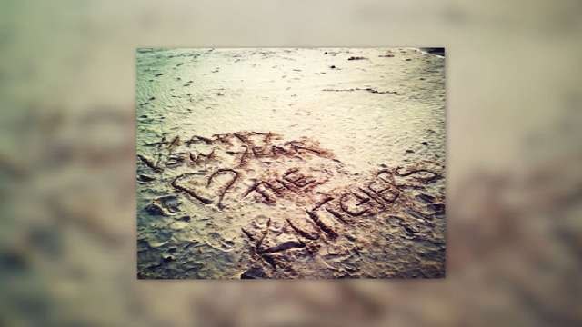 Ashton Kutcher Fuels Wedding Rumors