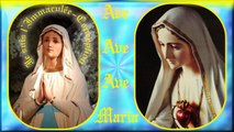 AM6. Fatima : Instrumental pour 12 couplets