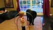 Toddler tries teaching dog to Hula Hoop