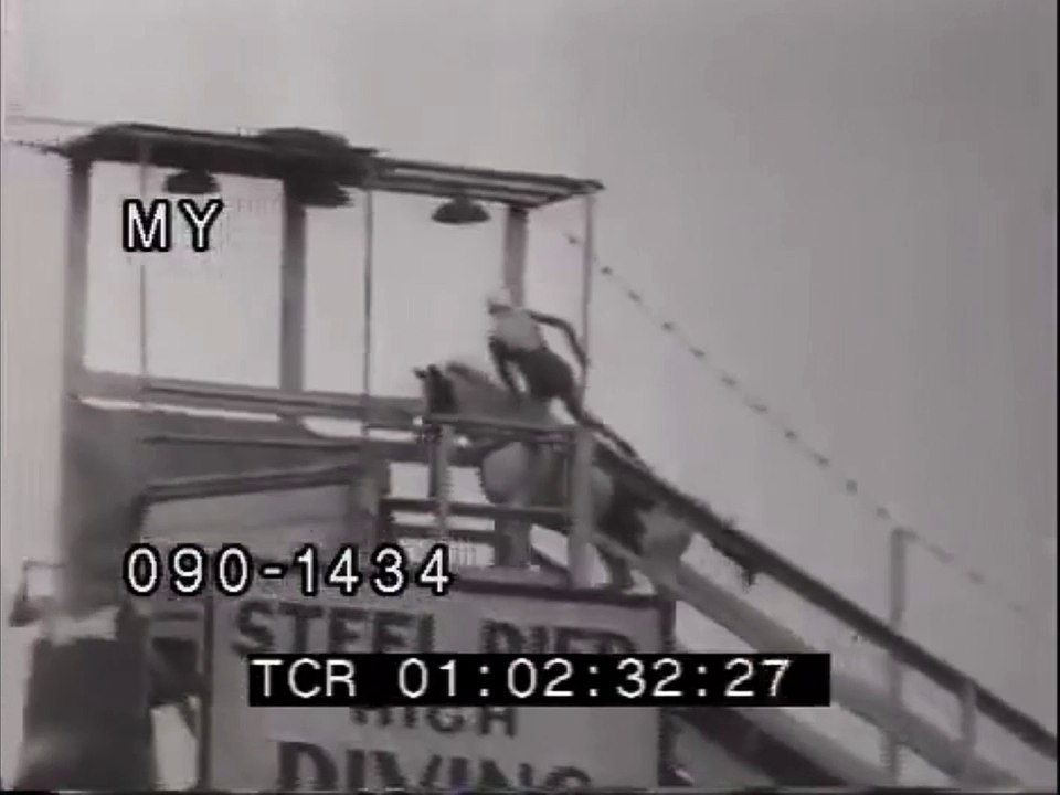 Sonora ster Carver Horse diving Vidéo Dailymotion