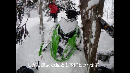 The end of the year  SNOWMOBILE and HORMONE