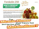 Forskolin 250 Reviews - Don't Get Scammed