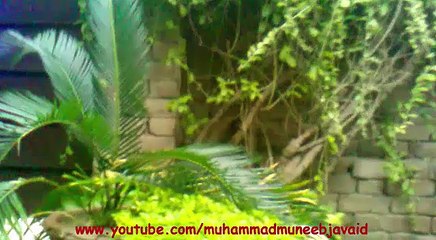 Beautiful Lighting On My Home On Eid Milad Nabi Saw