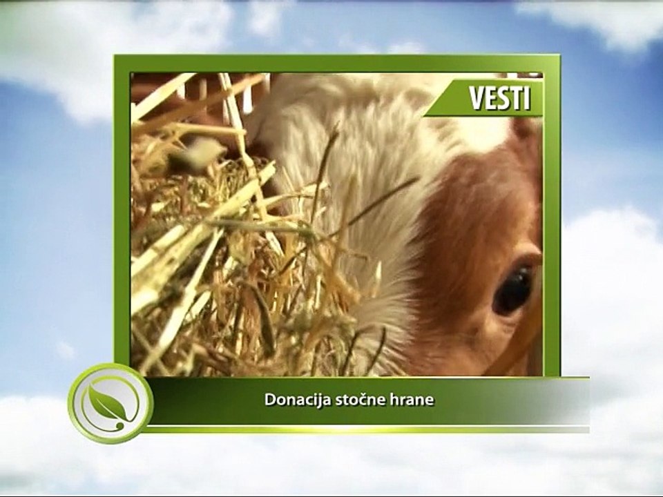 VESTI - Donacija stočne hrane