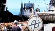 Islas Salomón: el atún, un recurso precioso | Global 3000