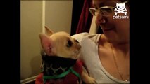 She Tells Her Dog 'I Love You,' But She Can't Believe His Response