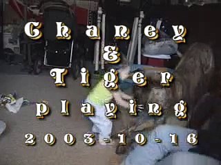 Cachorro faz criança ter ataque de riso