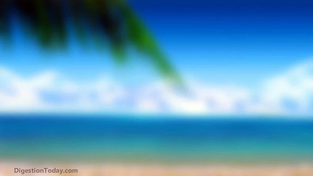 Can Digestive Enzyme Supplements With Probiotics Optimize Our Wellness?