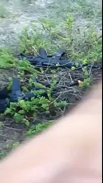 Il retire une bille d'Airsoft de son visage