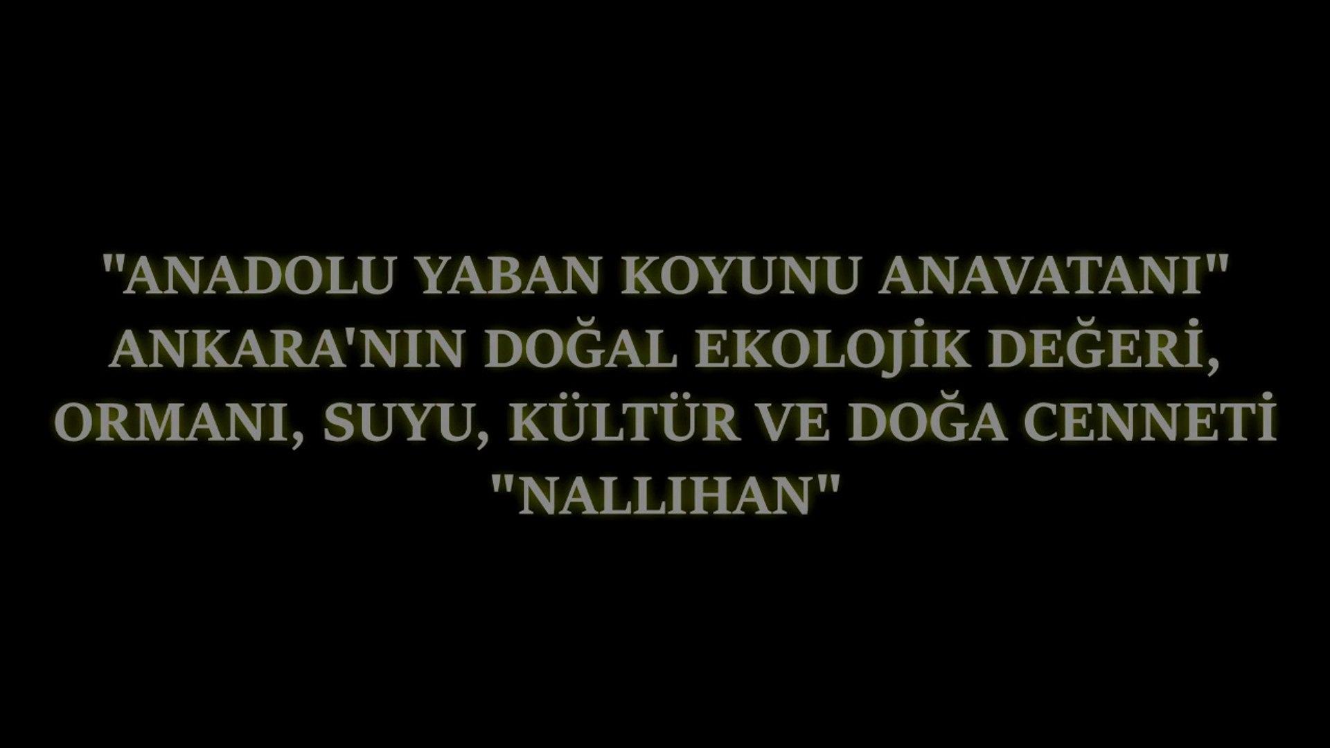 ANADOLU YABAN KOYUNU ANAVATANI